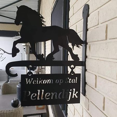Luxe Gastenkamer Met Living En Keuken Bij Friezen Paarden Stal Pellendijk Westendorp Εξωτερικό φωτογραφία