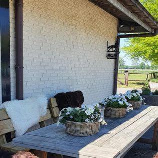 Luxe Gastenkamer Met Living En Keuken Bij Friezen Paarden Stal Pellendijk Westendorp Εξωτερικό φωτογραφία